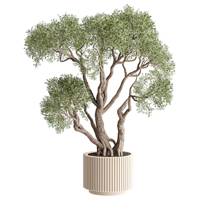 indoor Plant 588