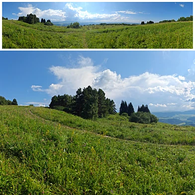 Летняя панорама с видом на зеленые луга