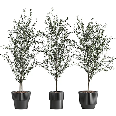 indoor plant model 01