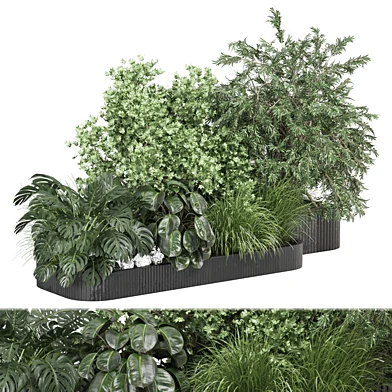 outdoor plants 1697