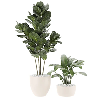 plants set 06