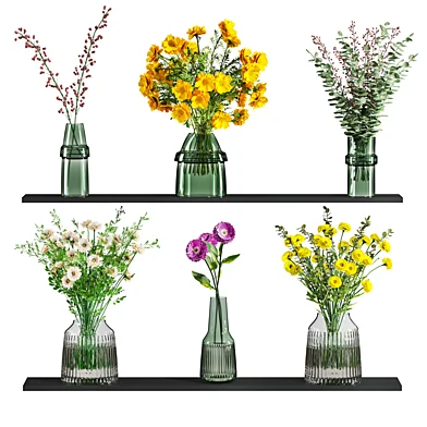 Plants Set 84