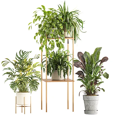 indoor plant set 070