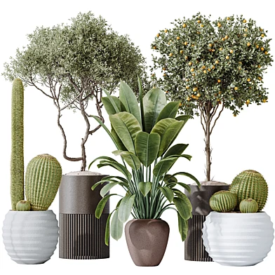 AV Indoor plants set 202