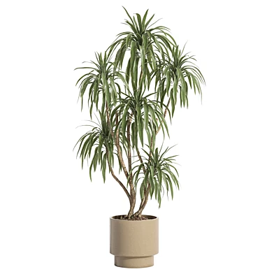 indoor plant 06 stone pot