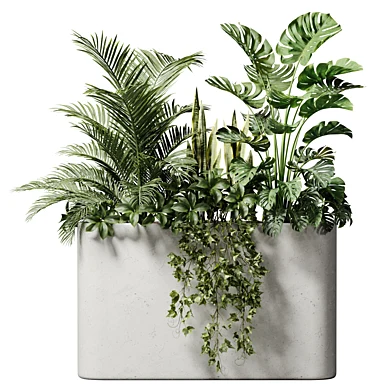 Indoor Plants 41 - Plants In Box