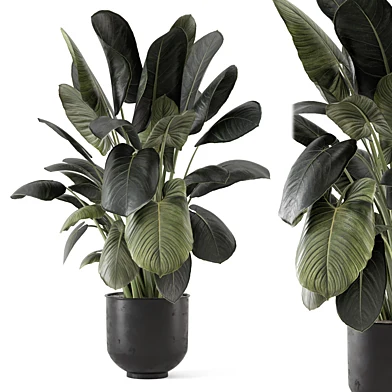 Plants in Ferm Living Bau Pot Large_Set 2979