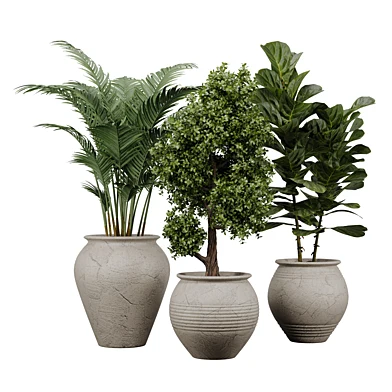Indoor Plant Set 02