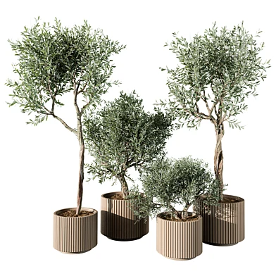 indoor Plant 613