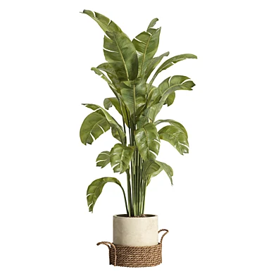 indoor plant 07 rattan pot
