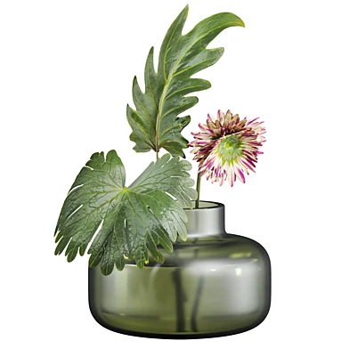 Plants Set 119