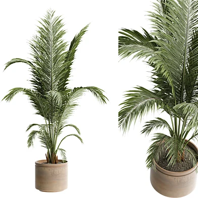 indoor Plant 624