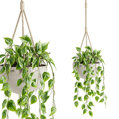 Plants Set 134