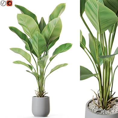 Plant: 1210