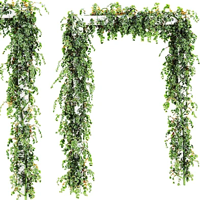 Plants Set 2018