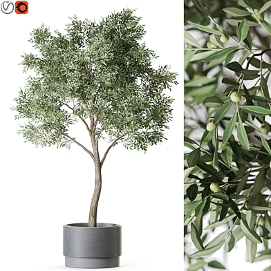 Plant: 1221