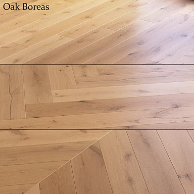 Oak Boreas