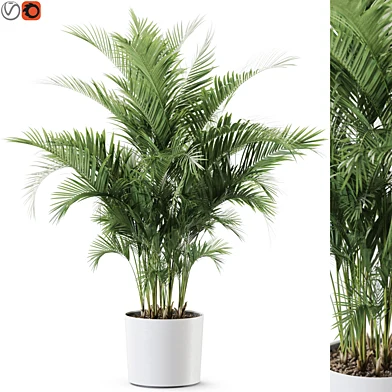 Plant 1246