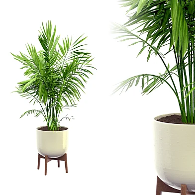Indoor Plant Set 07