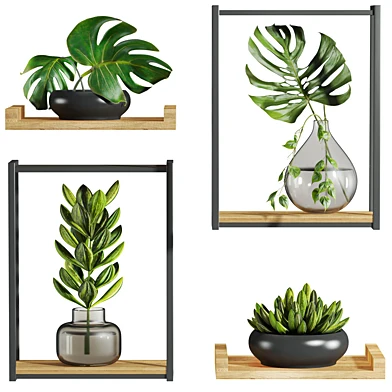 Plants Set 156