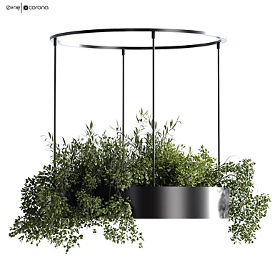 plant in box kitchen ceilling set 551