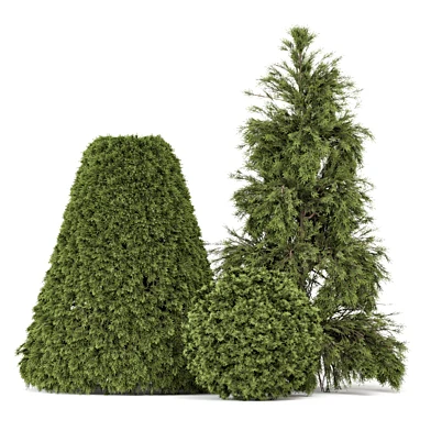 Outdoor Pine Bush and Tree_Bush Set 3186