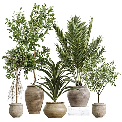 AV Indoor Plants Set 258 Olive Eucalyptus and Palm Paradise and Dracaena and Briful
