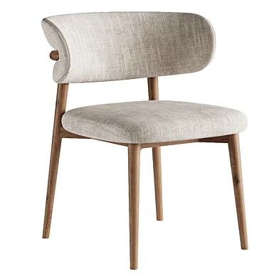 Dinning chair 01