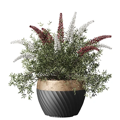 Indoor plant 009
