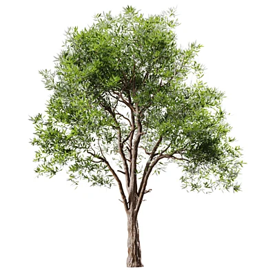 Outdoor Tree Set 041