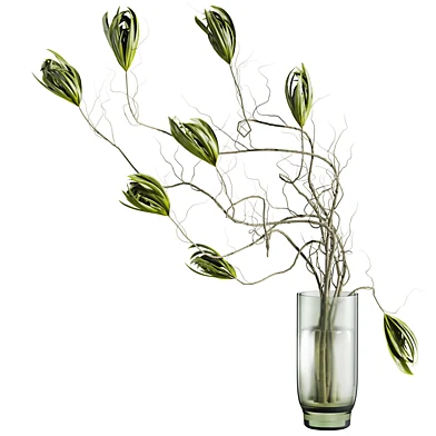 Plants Set 201