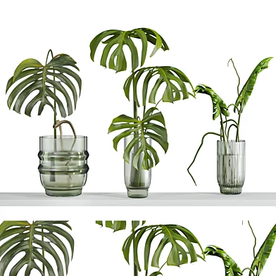 Plants Set 207