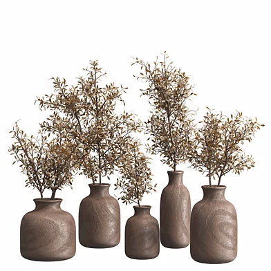 Olive dried Indoor plant set 2