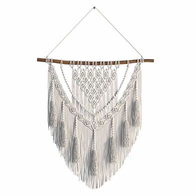 Macrame Wall Hanging Decor