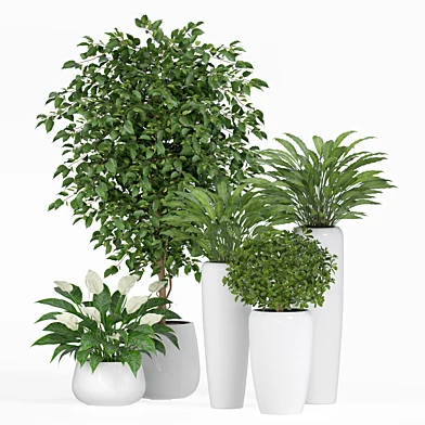 treez set 69