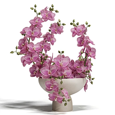 Sculpted Serenity Pink and White Orchids