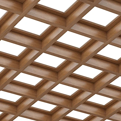 Ceiling No 002