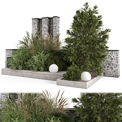 Landscape Dry Plants Bush Tree_Set 3424