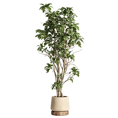 indoor plant 09 concrete and wood
