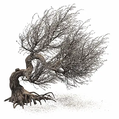 Spring Tree 015