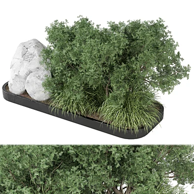 bush and tree plants 2076