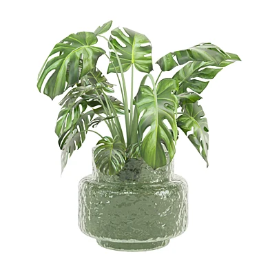 Indoor Plants Set 0145
