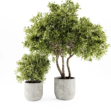 plants-set08