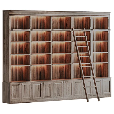 Wooden Library Bookcase with Ladde