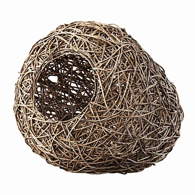 Nest n6