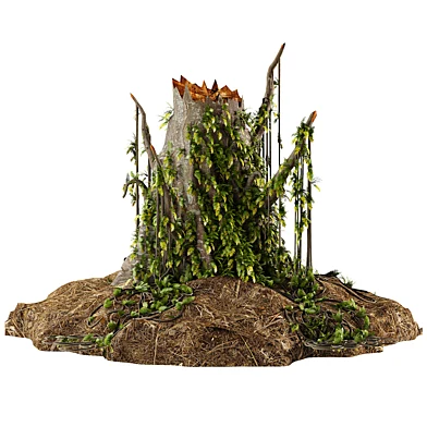 Trunk with fern and mushrooms