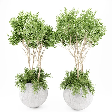 Plants set 15