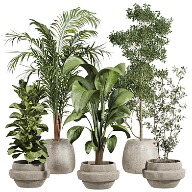 Plants Set 259