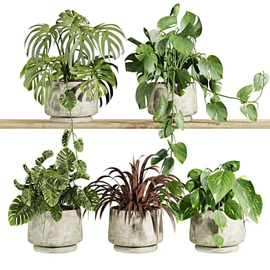 Plants Set 264