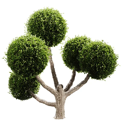 Topiary Realistic Decorative Garden Plant tree 002